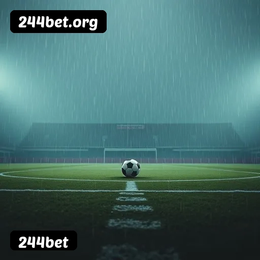 App Mobile 244bet - Jogue em Qualquer Lugar no Seu Smartphone